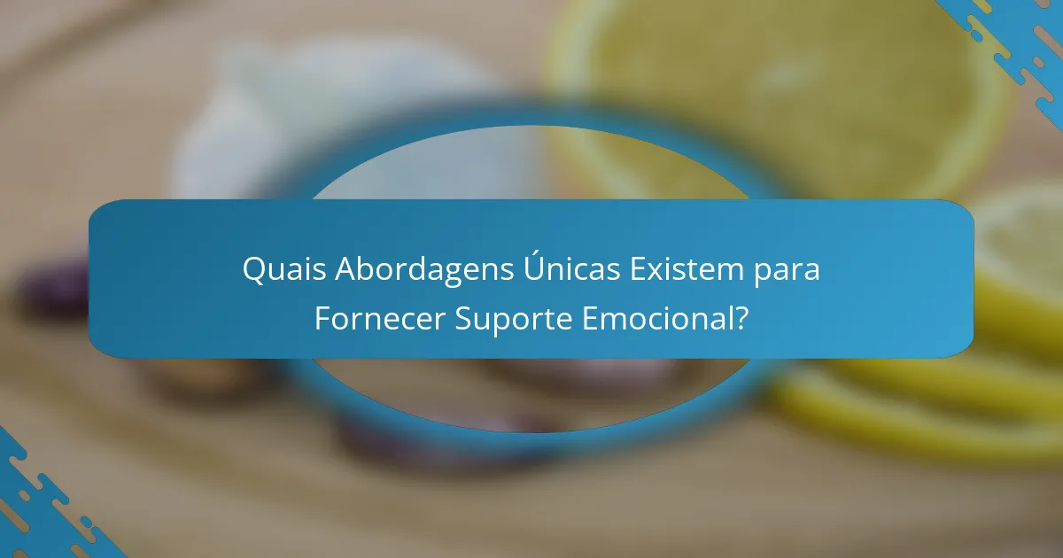Quais Abordagens Únicas Existem para Fornecer Suporte Emocional?